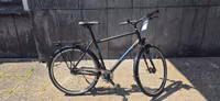 Stevens Elegance Lite Gent Citybike UVP999€ NEU vom Händler